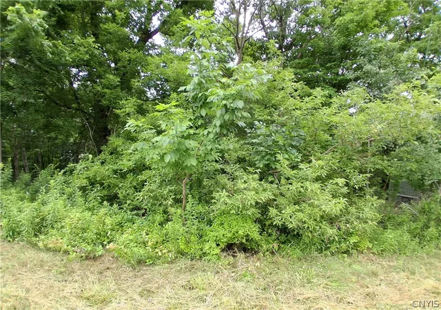 5th image of 106 Skye Island Dr, Union, NY 13760 | MLS# S1702092