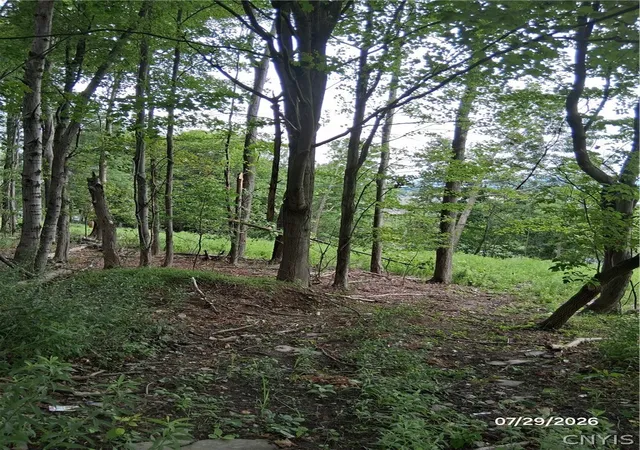 2nd image of 92 Skye Island Dr, Union, NY 13760 | MLS# S1702061