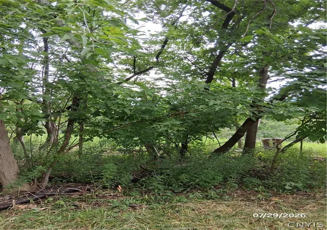 4th image of 92 Skye Island Dr, Union, NY 13760 | MLS# S1702061
