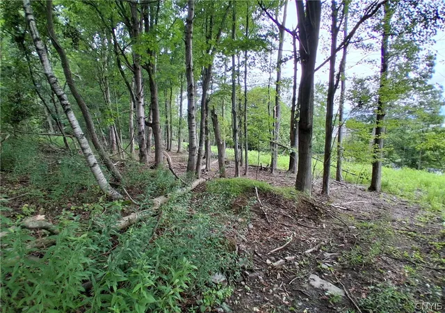 1st image of 90 Skye Island Dr, Union, NY 13760 | MLS# S1702042