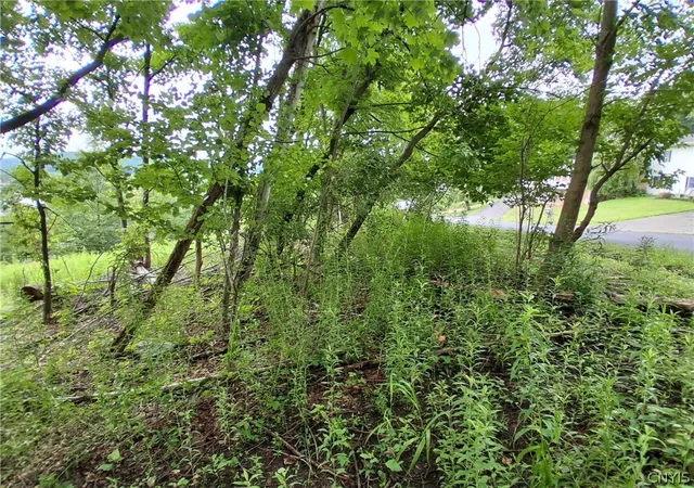 2nd image of 90 Skye Island Dr, Union, NY 13760 | MLS# S1702042