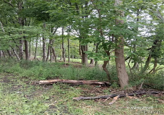 3rd image of 90 Skye Island Dr, Union, NY 13760 | MLS# S1702042