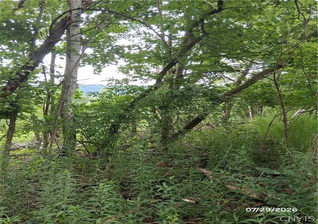 5th image of 90 Skye Island Dr, Union, NY 13760 | MLS# S1702042