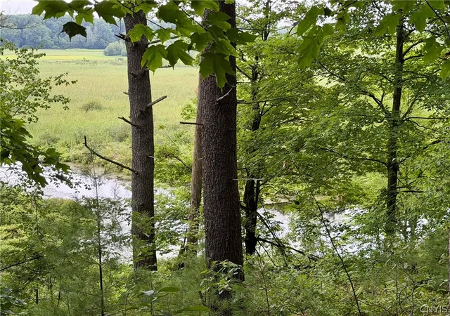 1st image of Hammond Rd, Hammond, NY 13646 | MLS# S1702935