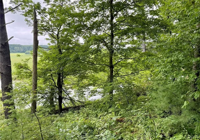 2nd image of Hammond Rd, Hammond, NY 13646 | MLS# S1702935