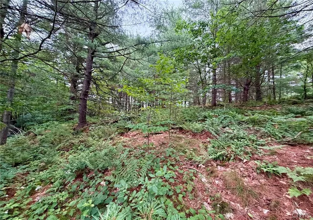 3rd image of Hammond Rd, Hammond, NY 13646 | MLS# S1702935