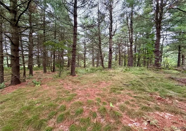 4th image of Hammond Rd, Hammond, NY 13646 | MLS# S1702935