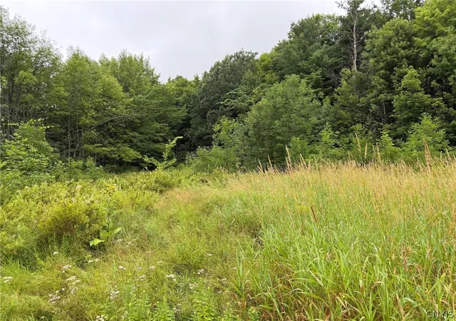 8th image of Hammond Rd, Hammond, NY 13646 | MLS# S1702935