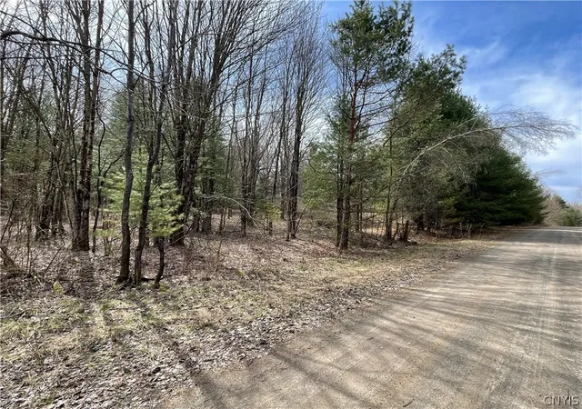 14th image of (Undisclosed), Altmar, NY 13302 | MLS# S1702483