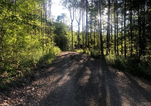Photo 1 of Land for sale at Yellow Barn Rd, Freeville, NY 13068 | MLS# S1703122 | Listing updated on 2026-07-31
