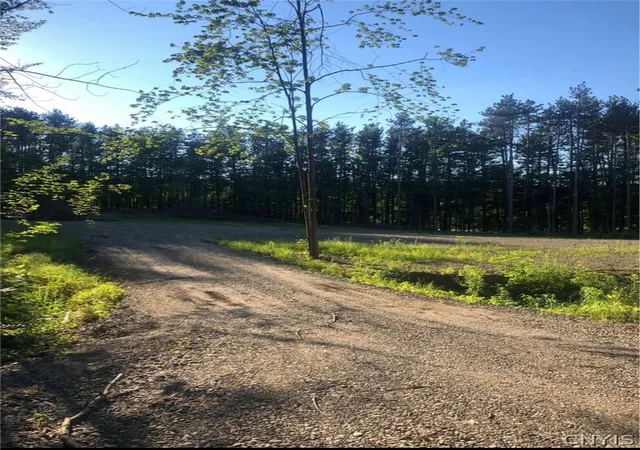 Photo 2 of Land for sale at Yellow Barn Rd, Freeville, NY 13068 | MLS# S1703122 | Listing updated on 2026-07-31
