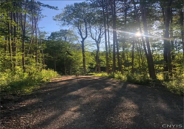 Photo 3 of Land for sale at Yellow Barn Rd, Freeville, NY 13068 | MLS# S1703122 | Listing updated on 2026-07-31