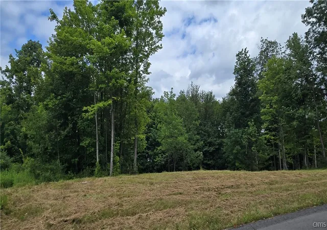 Photo 48 of Single family home for sale at 7101 Kittiwake Run, Manlius, NY 13104 | MLS# S1703168 | Listing updated on 2026-07-31