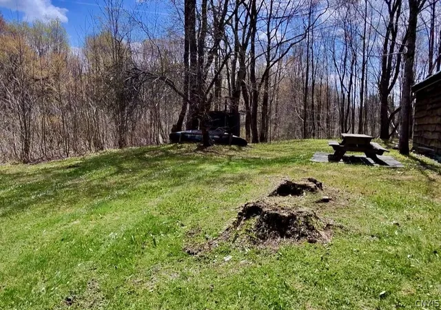 Photo 3 of Land for sale at 168 Carpenter Rd, Richland, NY 13144 | MLS# S1703282 | Listing updated on 2026-07-31