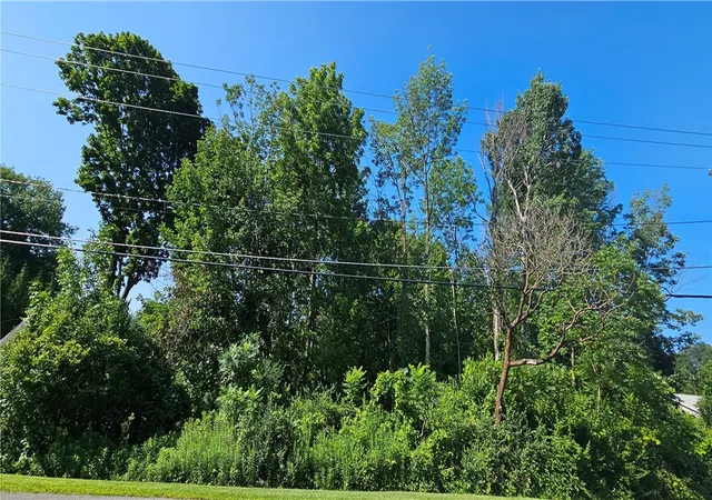 5th image of 325 Webster Rd Rd, Webster, NY 14580 | MLS# R1703286