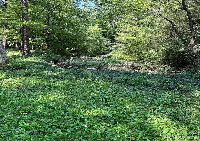 Photo 23 of Land for sale at 2326 Snyder Rd, Orangeville, NY 14569 | MLS# B1702949 | Listing updated on 2026-08-01