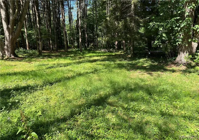 Photo 4 of Land for sale at 2326 Snyder Rd, Orangeville, NY 14569 | MLS# B1702949 | Listing updated on 2026-08-01