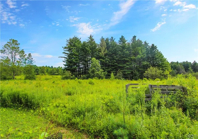 34th image of 178 Blanchard Hill Rd, Russell, NY 13684 | MLS# S1703501