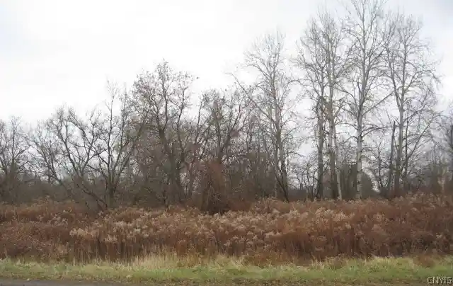 Photo 1 of Land for sale at 886 Blockville Watts Flats Rd, Ashville, NY 14710 | MLS# S1703600 | Listing updated on 2026-09-16