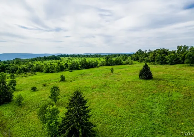 3rd image of 1399 Steuben Hill Rd, Herkimer, NY 13350 | MLS# S1703744