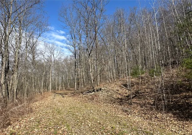 1st image of 0 O Brien Rd N, Savona, NY 14879 | MLS# R1703771