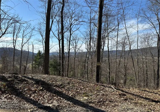3rd image of 0 O Brien Rd N, Savona, NY 14879 | MLS# R1703771