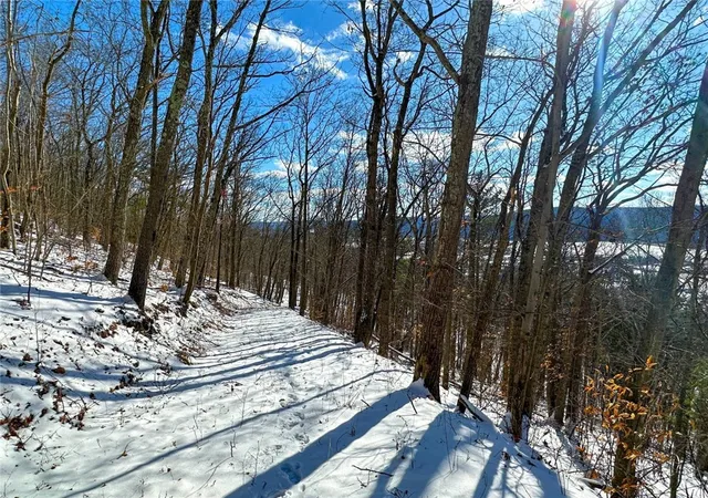 44th image of 0 O Brien Rd N, Savona, NY 14879 | MLS# R1703771