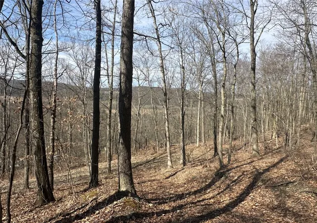 4th image of 0 O Brien Rd N, Savona, NY 14879 | MLS# R1703771