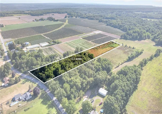 9th image of Brant Reserv Rd, Brant, NY 14027 | MLS# B1703672