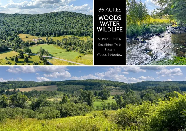 Photo 1 of Land for sale at Lot #11 Franklin Depot Rd, Sidney, NY 13838 | MLS# R1703578 | Listing updated on 2026-08-03