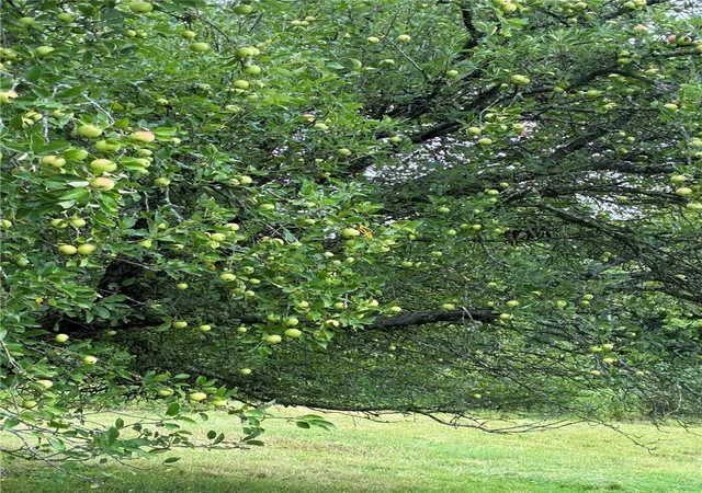 Photo 20 of Land for sale at 473 Backer Rd, Catlin, NY 14902 | MLS# R1703852 | Listing updated on 2026-08-03