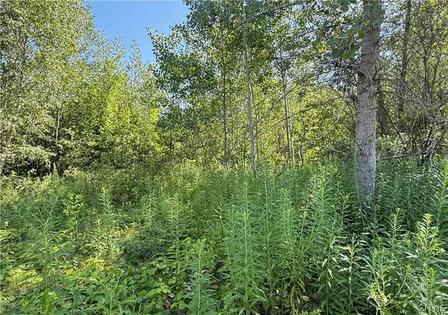 7th image of 5 & 11 Belva Blvd, Hastings, NY 13076 | MLS# S1703570