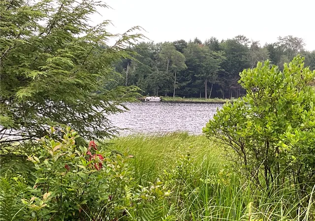 24th image of 164 Covell Ln, Mc Donough, NY 13801 | MLS# R1703454