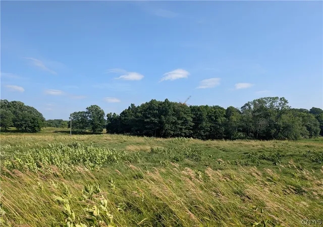49th image of 40790 Head Island Rd, Clayton, NY 13624 | MLS# S1703902