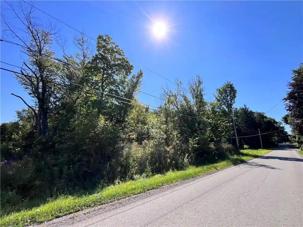 Photo 1 of Land for sale at 0 Highland Ave, Portland, NY 14769 | MLS# R1704796 | Listing updated on 2026-08-06
