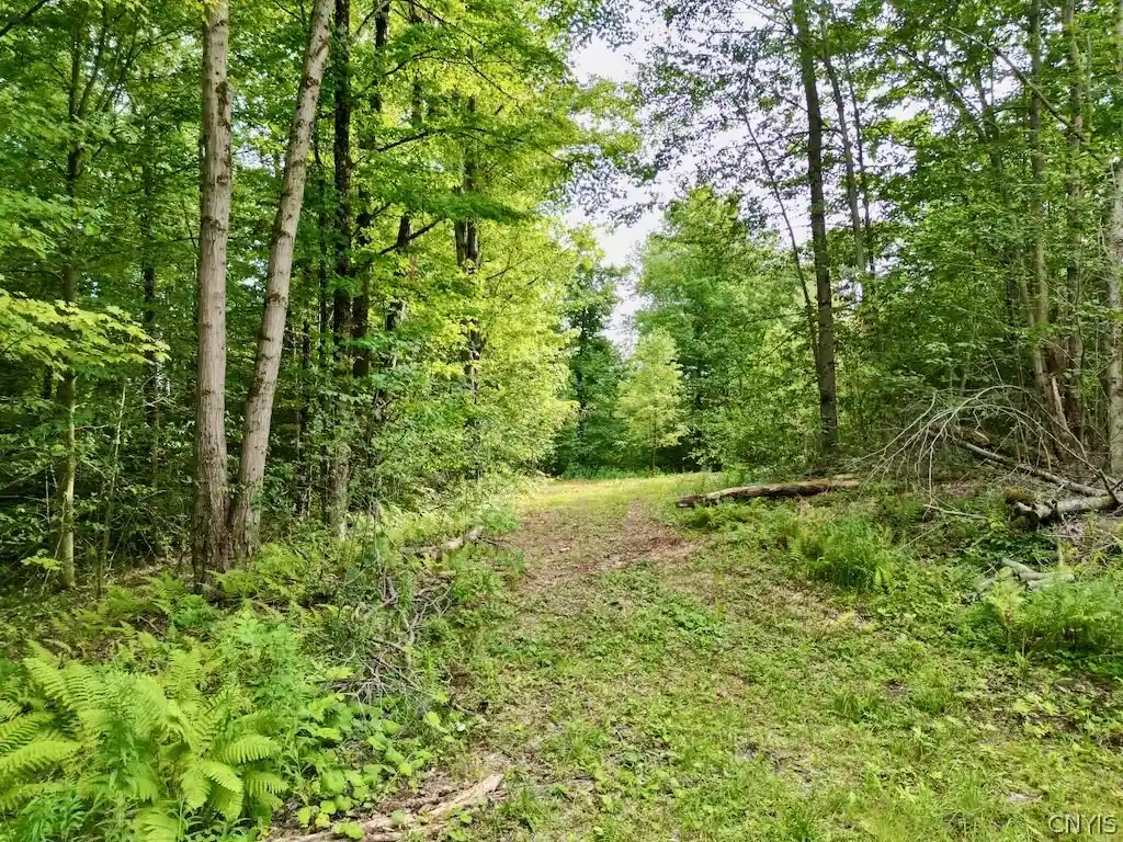 Land for sale at 0 Hillsborough Rd, Camden, NY 13316 | MLS# S1705531