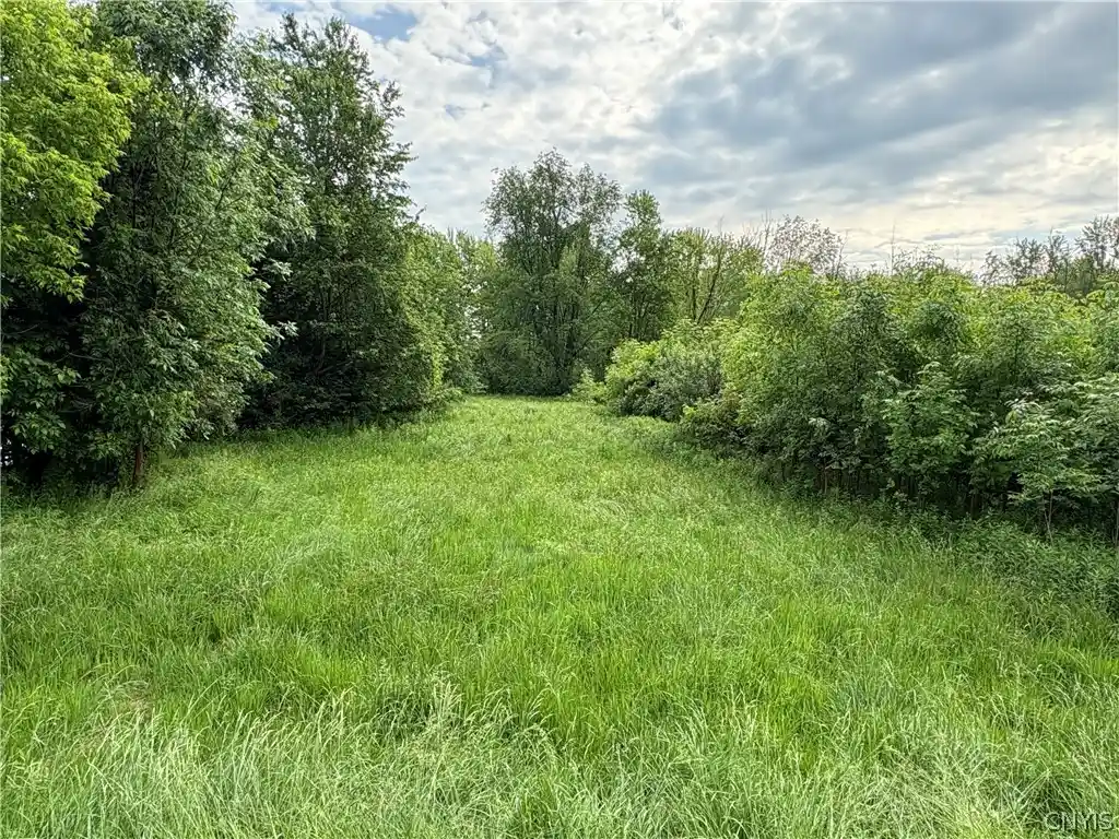 Land for sale at 0 Eddy Rd, Sullivan, NY 13032 | MLS# S1705739