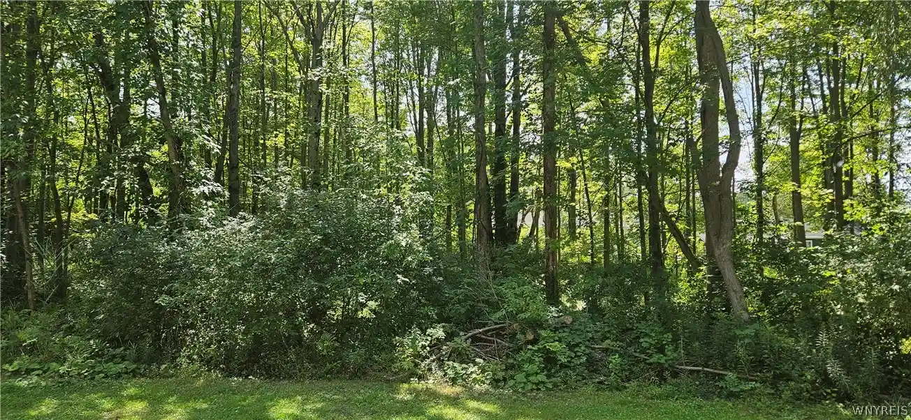 Land for sale at Adams Ave, Evans, NY 14006 | MLS# B1706206