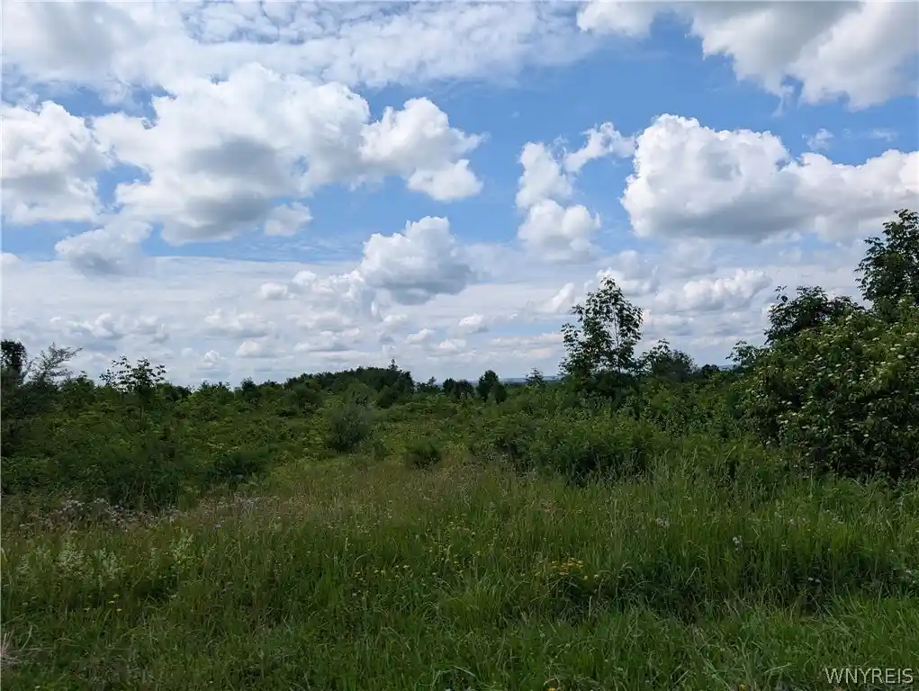 Photo 1 of Sale Pending at V/l North Hl Rd, Charlotte, NY 14782 | MLS# B1711139 | Listing updated on 2026-09-08