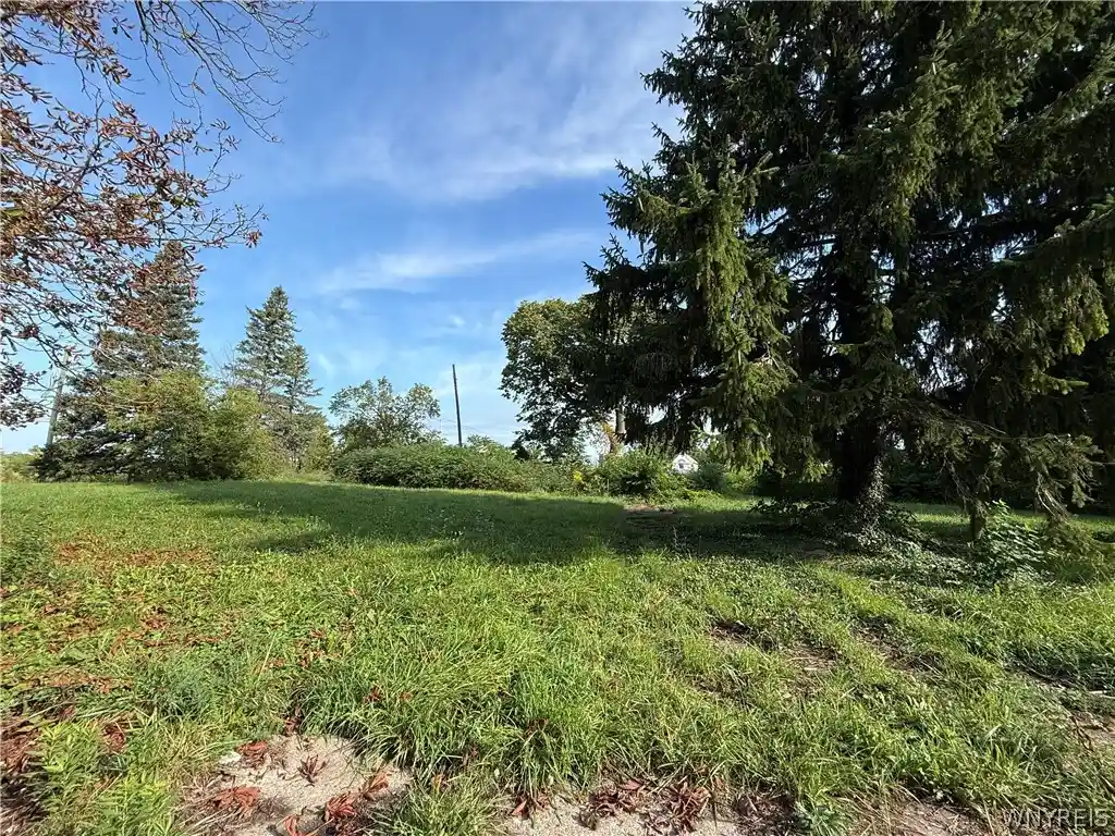 Photo 1 of Land for sale at 718 Willow Ave, Niagara Falls, NY 14305 | MLS# B1711262 | Listing updated on 2026-09-09