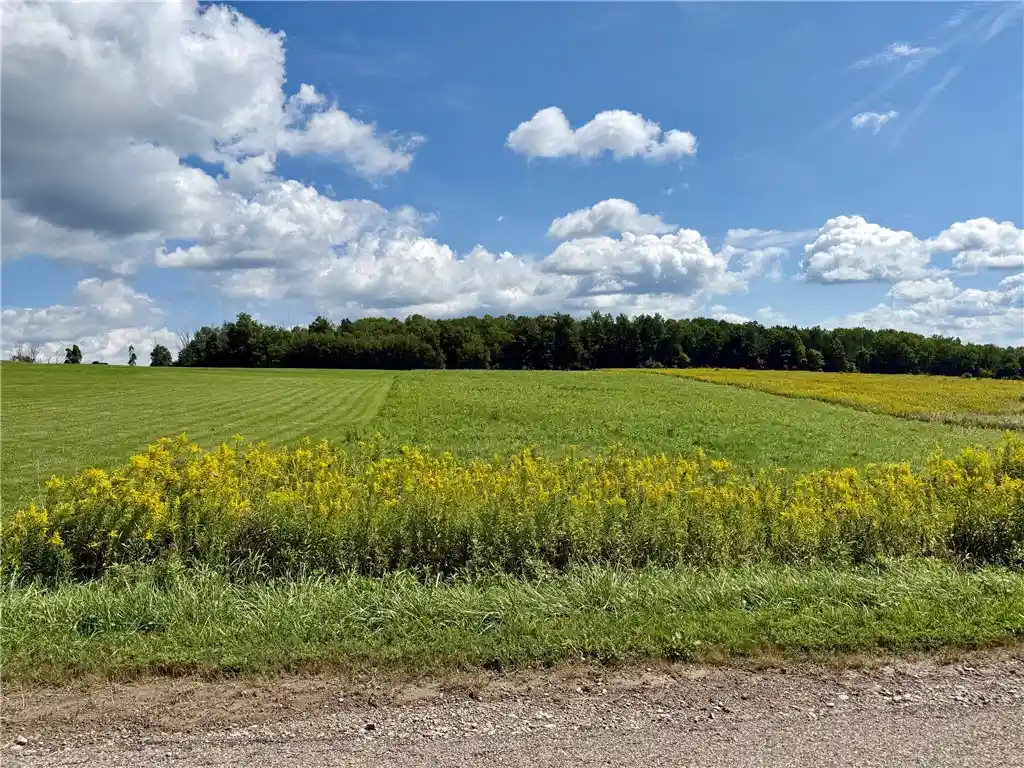 Photo 1 of Land for sale at 0 Tucker Rd E, Campbell, NY 14821 | MLS# R1713865 | Listing updated on 2026-10-24