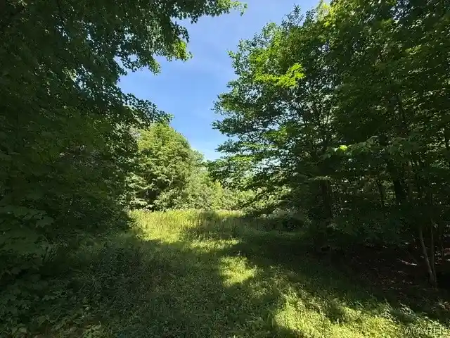 Photo 1 of Land for sale at V/l Syler Rd, Orangeville, NY 14569 | MLS# B1714216 | Listing updated on 2026-09-15