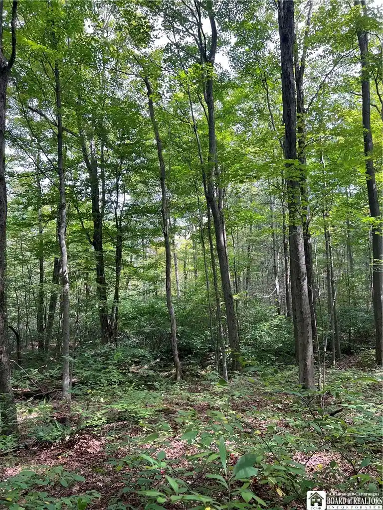 Photo 1 of Land for sale at 8393 Kelly Hl Rd, Fredonia, NY 14063 | MLS# R1714465 | Listing updated on 2026-09-25