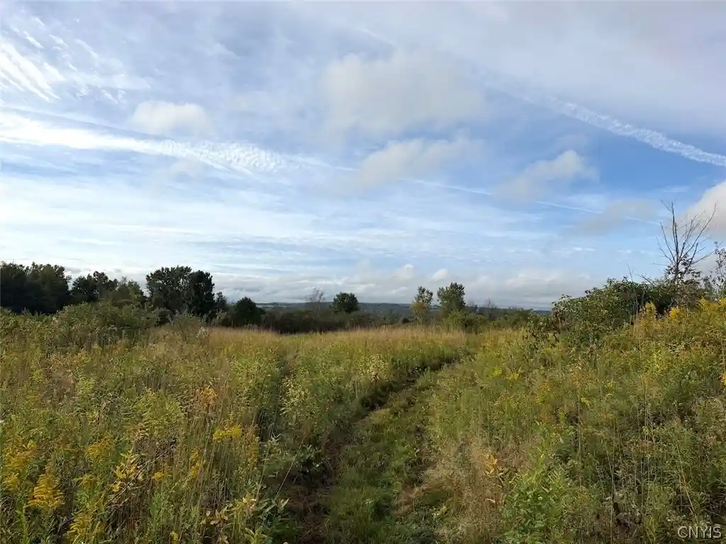 Photo 1 of Land for sale at Ball Hl Rd, Villenova, NY 14138 | MLS# S1717405 | Listing updated on 2026-09-24