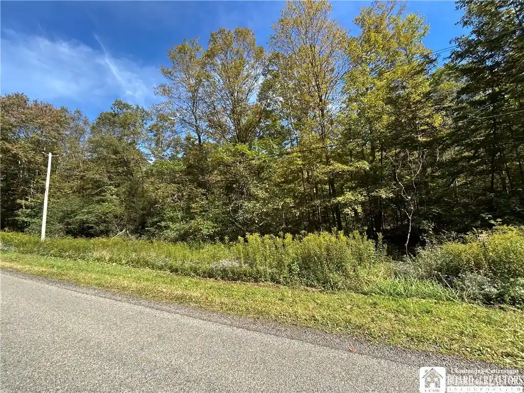 Photo 1 of Land for sale at 10613 Hanover Rd, Forestville, NY 14062 | MLS# R1717829 | Listing updated on 2026-10-06
