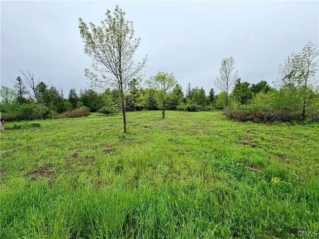 Photo 1 of Land for sale at County Rte 8, Cape Vincent, NY 13618 | MLS# S1718471 | Listing updated on 2026-09-29