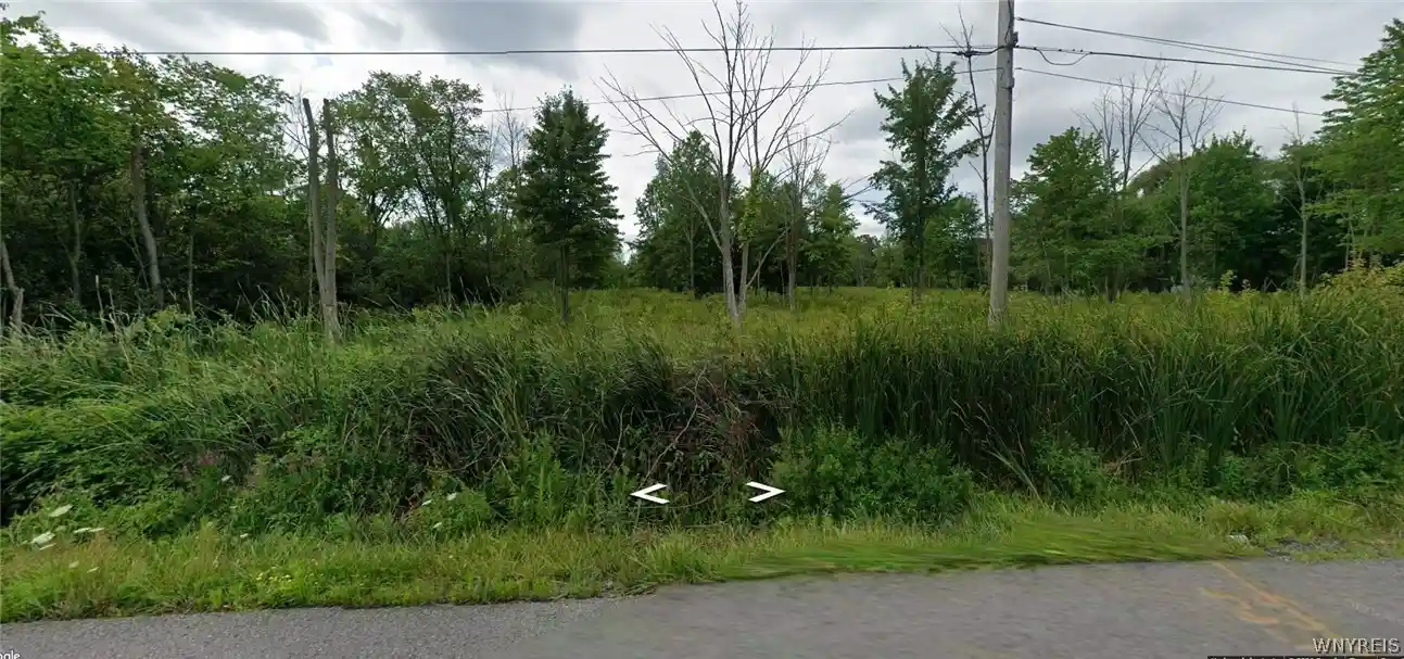 Photo 1 of Land for sale at Love Rd, Grand Island, NY 14072 | MLS# B1718488 | Listing updated on 2026-10-12