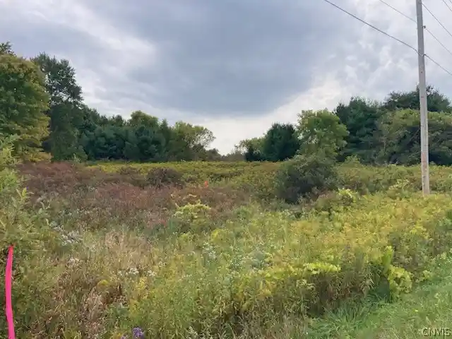 Land for sale at 0 Link, Rome, NY 13440 | MLS# S1719185