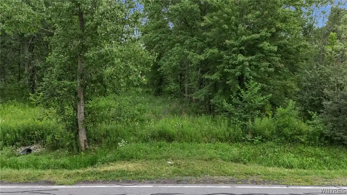 Photo 1 of Sale Pending at V/l Calkins & Crk Rd, Lewiston, NY 14092 | MLS# B1711836 | Listing updated on 2026-10-13