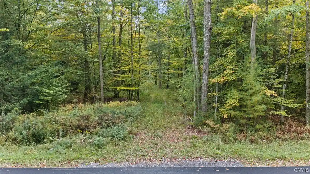 Photo 1 of Land for sale at 1965 California Rd, Camden, NY 13316 | MLS# S1719511 | Listing updated on 2026-10-08